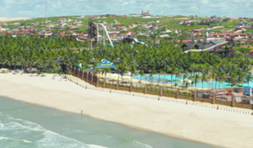 Foto: Reprodução/Junglekey