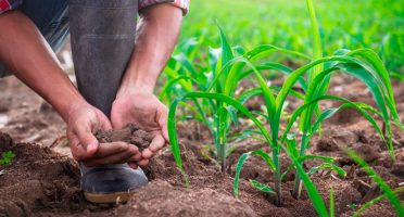 Foto: Reprodução/Site/ ASN Ceará