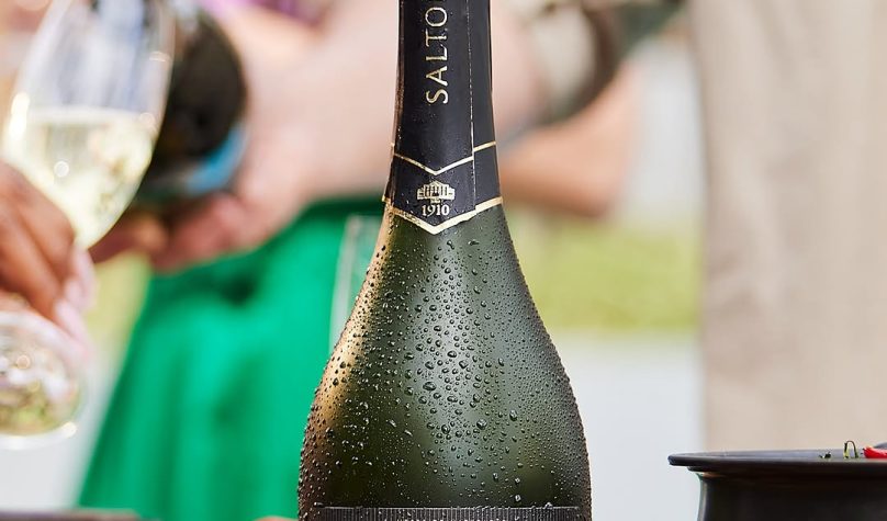 Foto: Reprodução/Instagram/@familiasalton