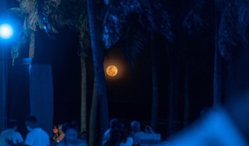 Foto: Reprodução/Instagram/@guarderiabrasil