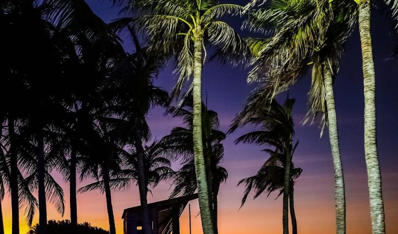 Foto: Reprodução/Instagram/@guarderiabrasil