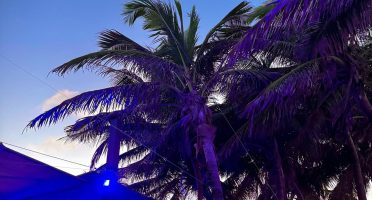 Foto: Reprodução/Instagram/@guarderiabrasiloficial