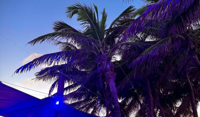 Foto: Reprodução/Instagram/@guarderiabrasiloficial