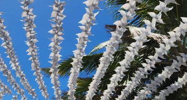 Foto: Reprodução/Instagram/@guarderiabrasiloficial