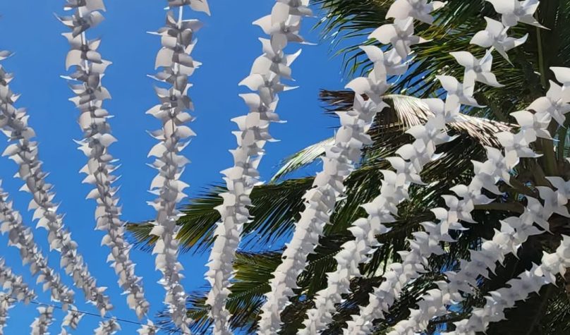 Foto: Reprodução/Instagram/@guarderiabrasiloficial