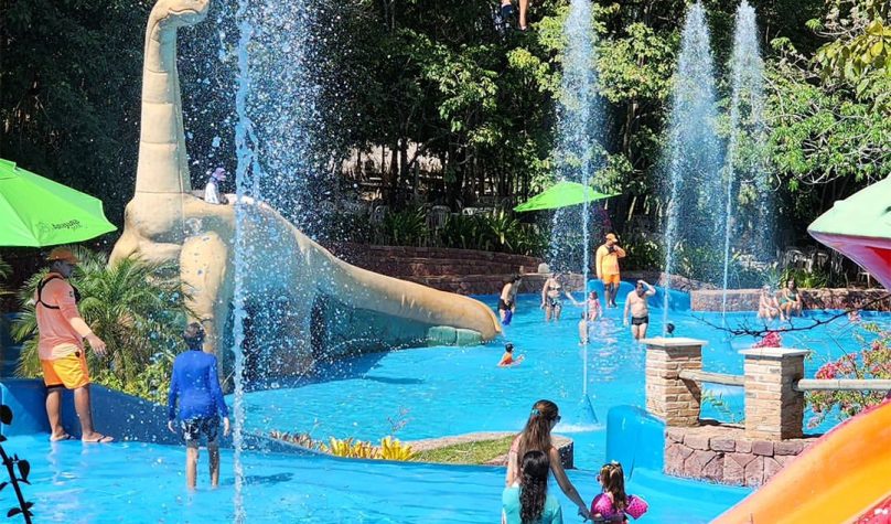 Foto: Reprodução/Instagram/@arajaraparkoficial