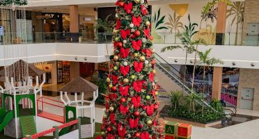 Foto: Reprodução/Instagram/@terrazoshopping