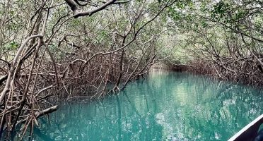 Foto: Reprodução/Instagram/@icaraideamontada