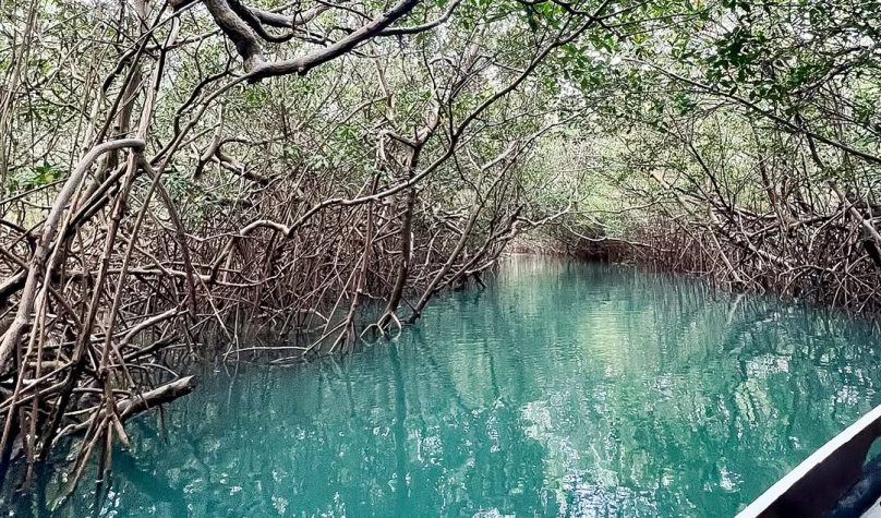 Foto: Reprodução/Instagram/@icaraideamontada