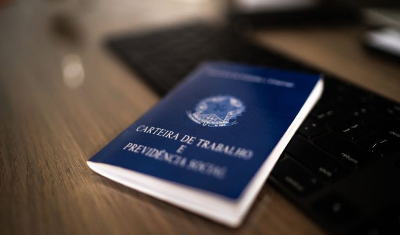 O resultado foi o segundo melhor do Nordeste, ficando atrás apenas da Bahia. Foto: Divulgação/Sedet.