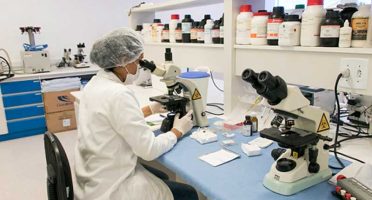 Foto: Viktor Braga/UFC