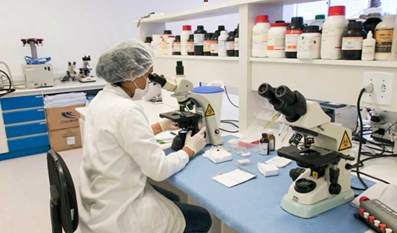 Foto: Viktor Braga/UFC