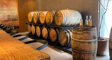 Foto: Reprodução/Agencia Sebrae Ceara