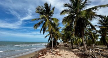 Foto: Reprodução/Site/The Summer Hunter