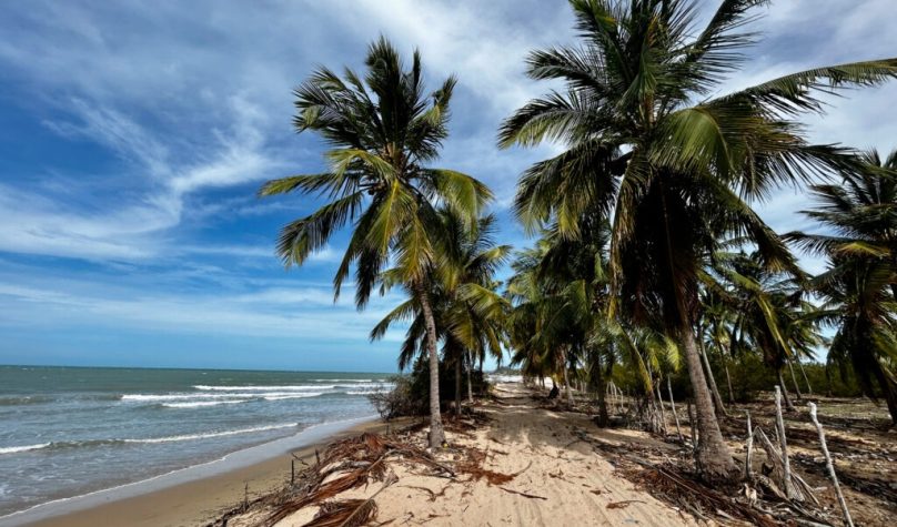 Foto: Reprodução/Site/The Summer Hunter