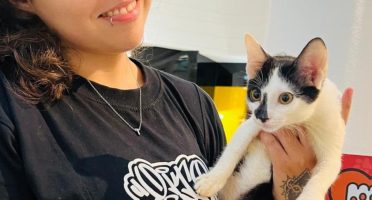 Shopping Aldeota recebe evento de adoção de cães e gatos neste sábado (22)