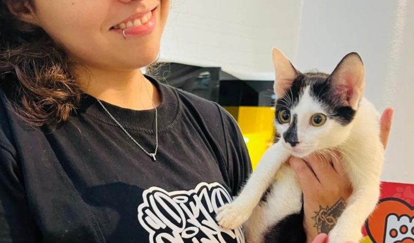 Shopping Aldeota recebe evento de adoção de cães e gatos neste sábado (22)