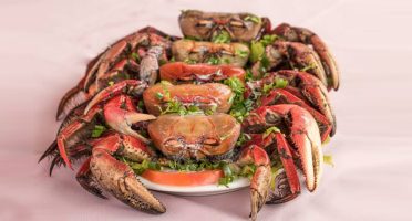 banner 1200x480px 16