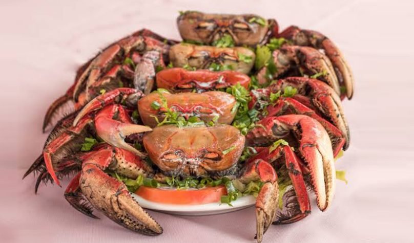 banner 1200x480px 16