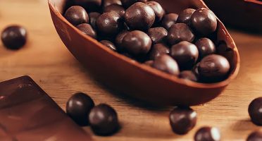 banner 1200x480px 2 (7)