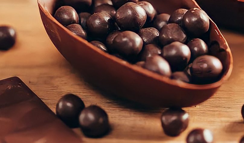 banner 1200x480px 2 (7)