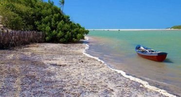 Banner 1200x480px 20