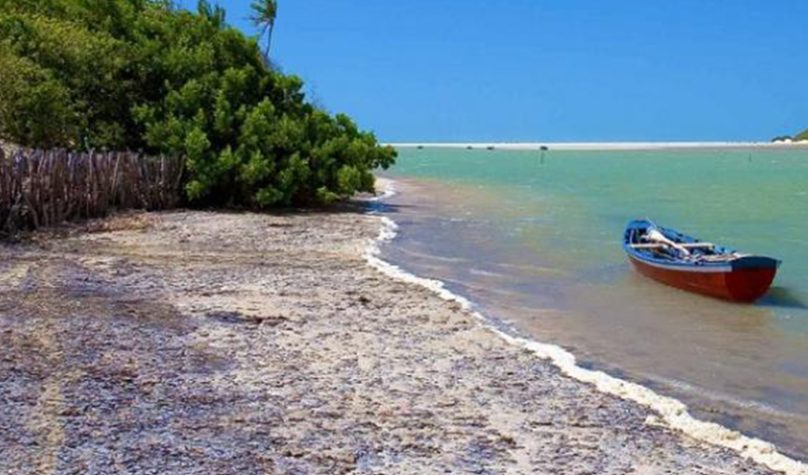 Banner 1200x480px 20