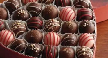 Banner 1200x480px 4 (10)