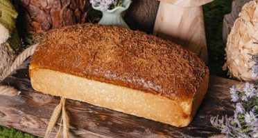 Banner 1200x480px 7 (7)