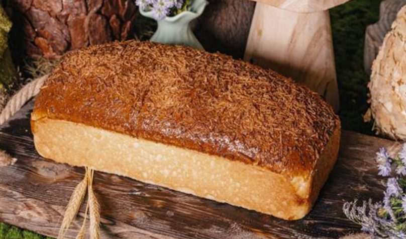 Banner 1200x480px 7 (7)