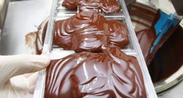 banner 1200x480px 8 (1) (1)