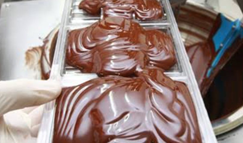 banner 1200x480px 8 (1) (1)