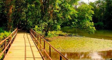 banner-1200x480px-parque-coco