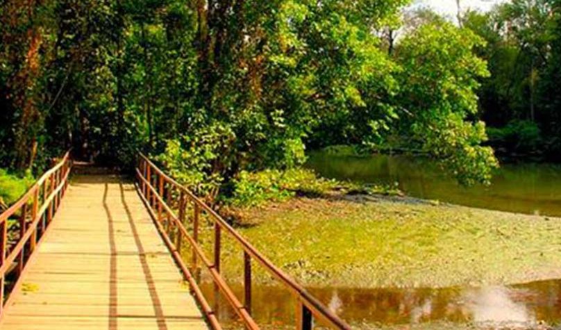 banner-1200x480px-parque-coco