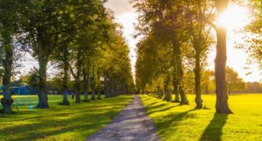 banner-1200x480px-parque