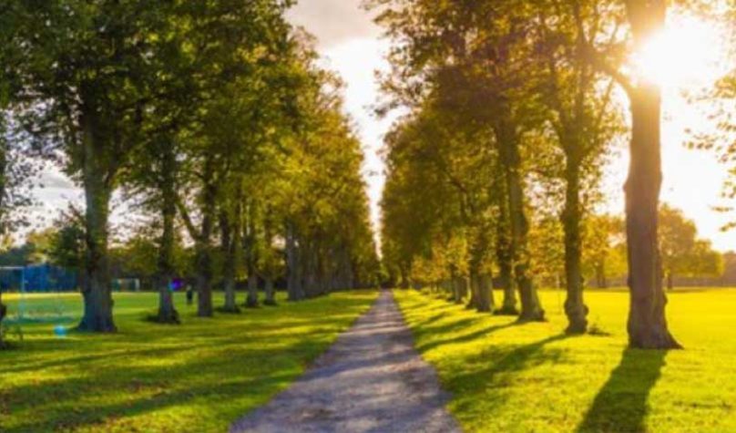 banner-1200x480px-parque