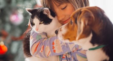 banner 800x533px 1 (1)