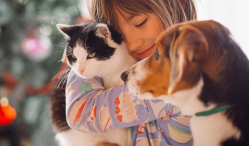 banner 800x533px 1 (1)