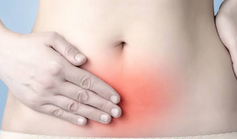 banner 800x533px 11 (5)