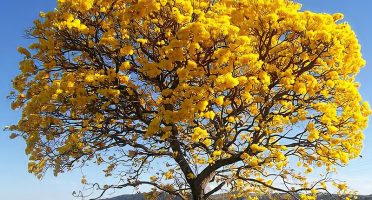 banner 800x533px 11 (6)