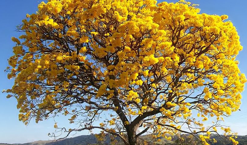 banner 800x533px 11 (6)