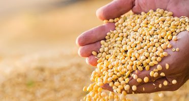 banner 800x533px 2 (8)