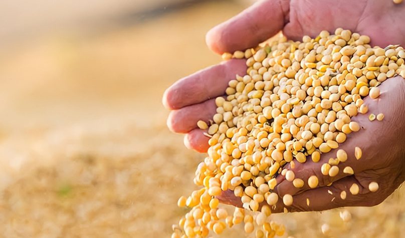 banner 800x533px 2 (8)