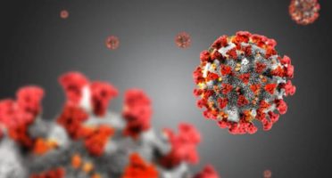 banner 800x533px 5 (2)