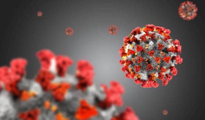 banner 800x533px 5 (2)