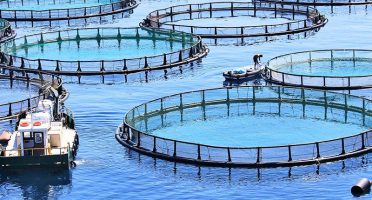 banner 800x533px 5 (9)