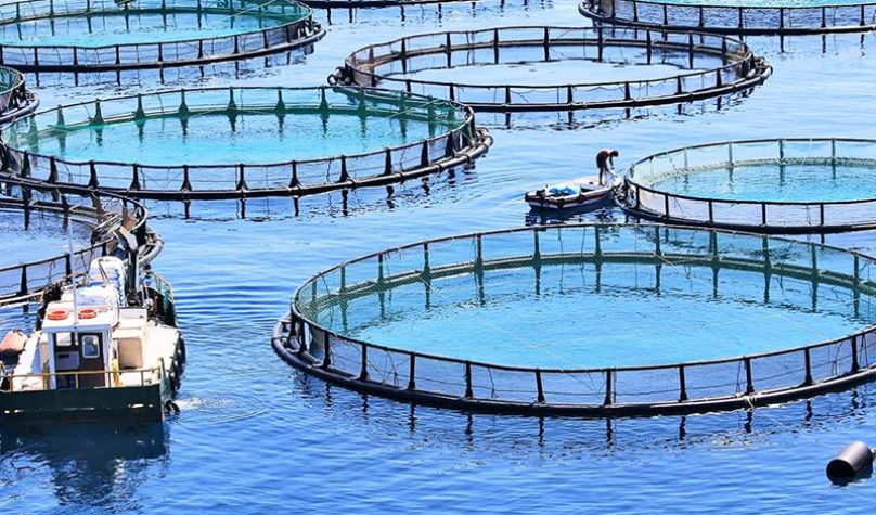 banner 800x533px 5 (9)