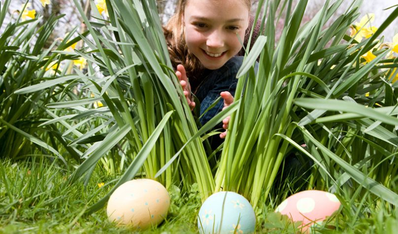 Banner 800x533px 7 (10)