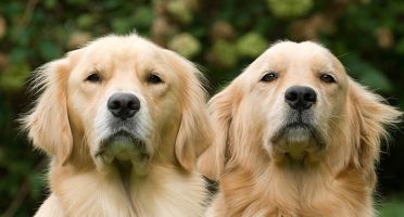 banner 800x533px 8 (1)