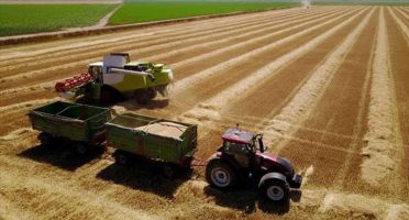 banner-800x533px-agronegócio